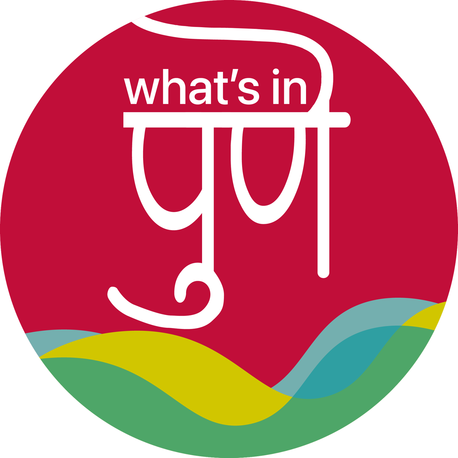 whatsin pune Logo